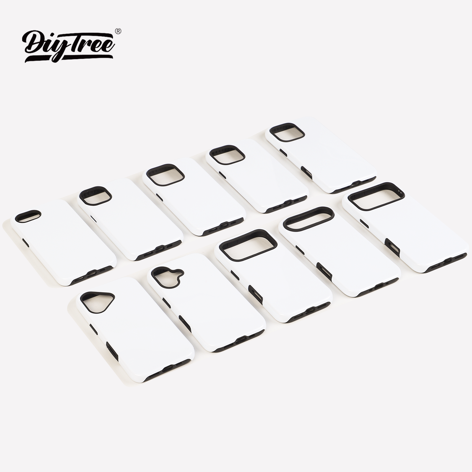 Beginner Starter Kit